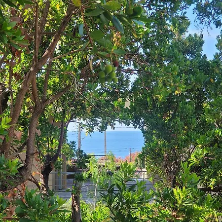 Piscine,jacuzzi,rooftop,plage Village A Pied * Les Issambres